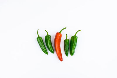 Close-up of chili pepper against white background