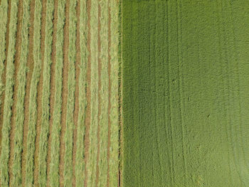 Aerial view of a plowed field