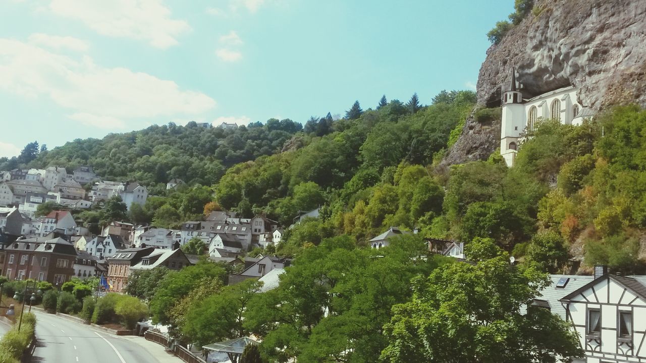 tree, building exterior, architecture, built structure, house, residential structure, sky, residential building, mountain, town, growth, green color, high angle view, residential district, day, nature, sunlight, outdoors, townscape, lush foliage