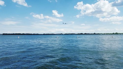 Seagull flying over sea against sky