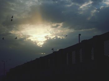 Low angle view of silhouette birds flying against sky during sunset