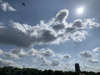 Low angle view of birds flying in sky