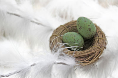 High angle view of green easter eggs in nest by white feathers