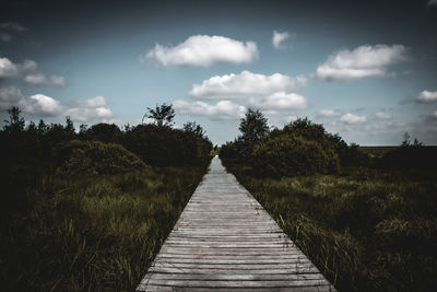 Boardwalk amidst trees against sky