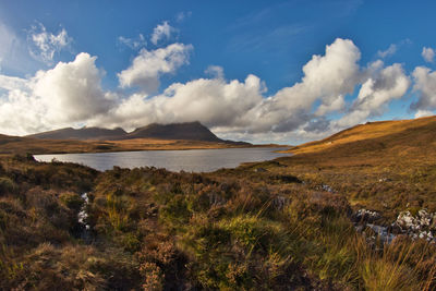 Scenic view of landscape against sky