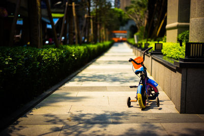 Child bicycle on garden path 