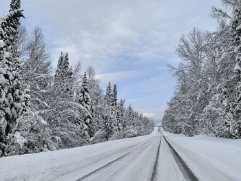 Snow covered road amidst trees against sky