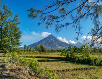 Scenic view of landscape against sky