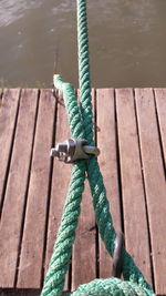 High angle view of rope tied on wood