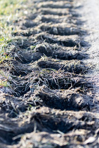 Full frame shot of rock on land