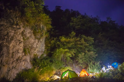 High angle view of illuminated tent in forest at night
