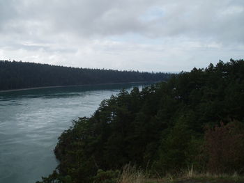 Scenic view of lake in forest against sky