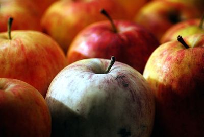 Close-up of apples