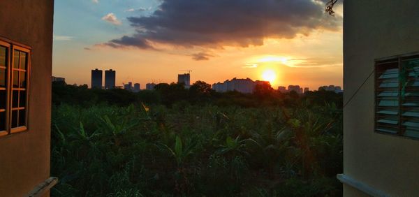 Buildings on field against sky during sunset