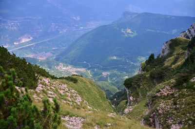 High angle view of trees and mountains