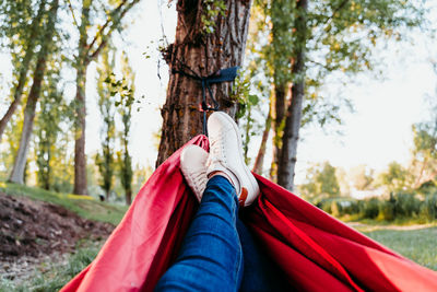 Low section of woman lying on hammock in forest