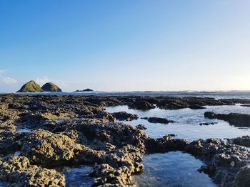 Scenic view of sea against clear sky