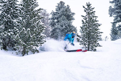 Skier turning between trees and spraying powder