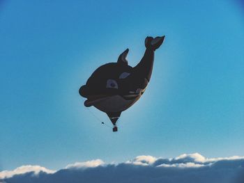 Low angle view of bird flying against blue sky