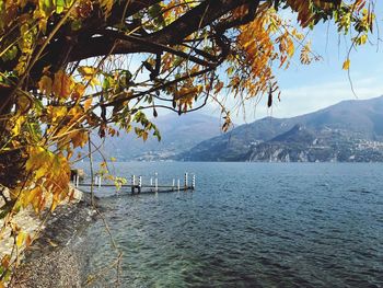 Scenic view of sea against sky during autumn