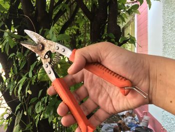 Cropped hand holding pliers against plants