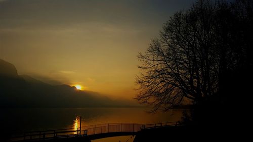 Silhouette tree by sea against sky during sunset