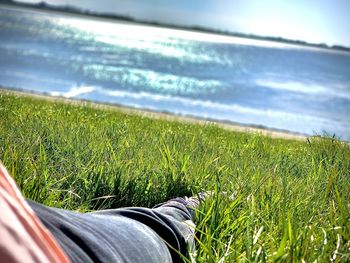 Low section of person on grass in field