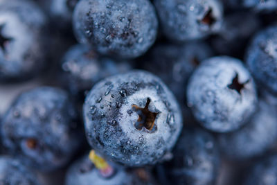 Fresh ripe blueberries with drops of dew. berry background. macro photo