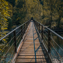 Footbridge in forest