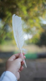 Close-up of hand holding feather