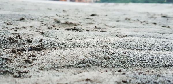 Surface level of sand