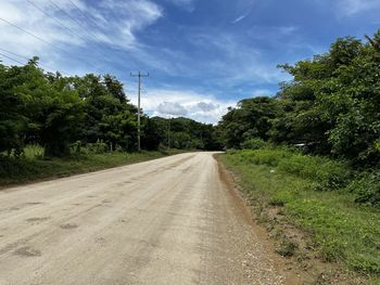 Empty road amidst trees against sky