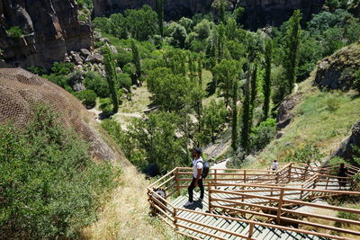 High angle view of man standing on steps against trees