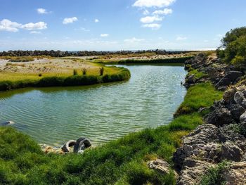 River amidst field against sky on sunny day