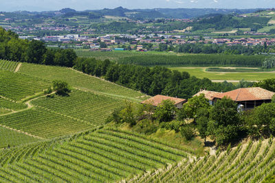 Scenic view of agricultural field by buildings against mountains