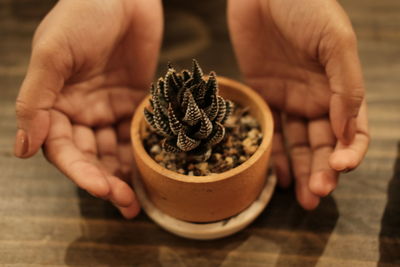Close-up of person holding ice cream