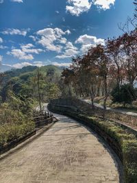 Footpath amidst trees against sky