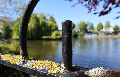 Close-up of rusty metal by river against trees