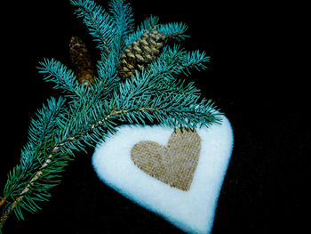 Close-up of christmas decoration
