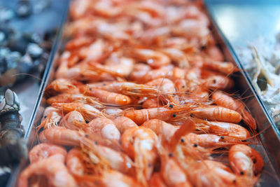 Hot smoked prawns . shrimps on the showcase in the market . pandalus borealis