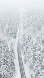 Aerial view of snow covered landscape