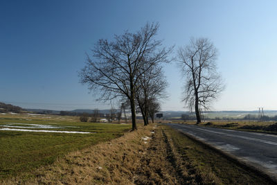 Bare trees on field against clear sky