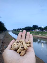 Close-up of hand holding groundnuts against sky