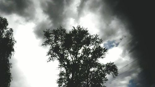 Low angle view of trees against cloudy sky