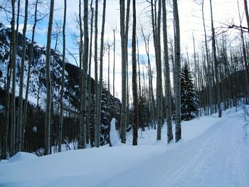 Scenic view of snow covered landscape