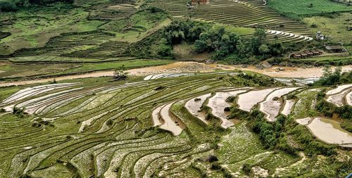 High angle view of agricultural field