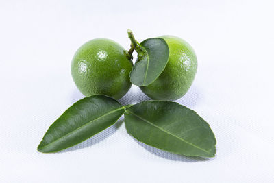 Close-up of fruits against white background