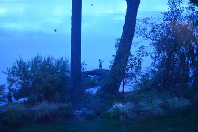 Man standing by sea against trees