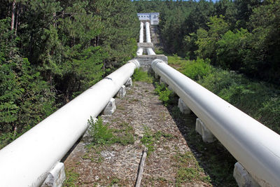 High angle view of pipe amidst trees in forest