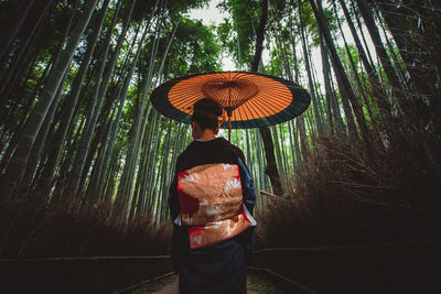 Rear view of woman holding umbrella standing by tree in forest